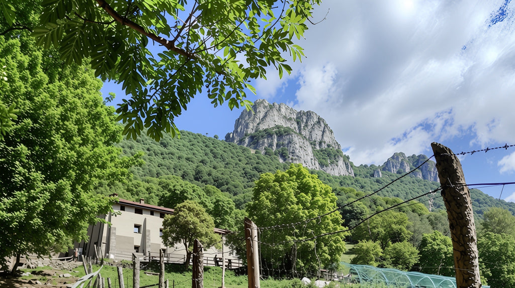 From Milan - Hiking Tour Terz’Alpe & Corni di Canzo