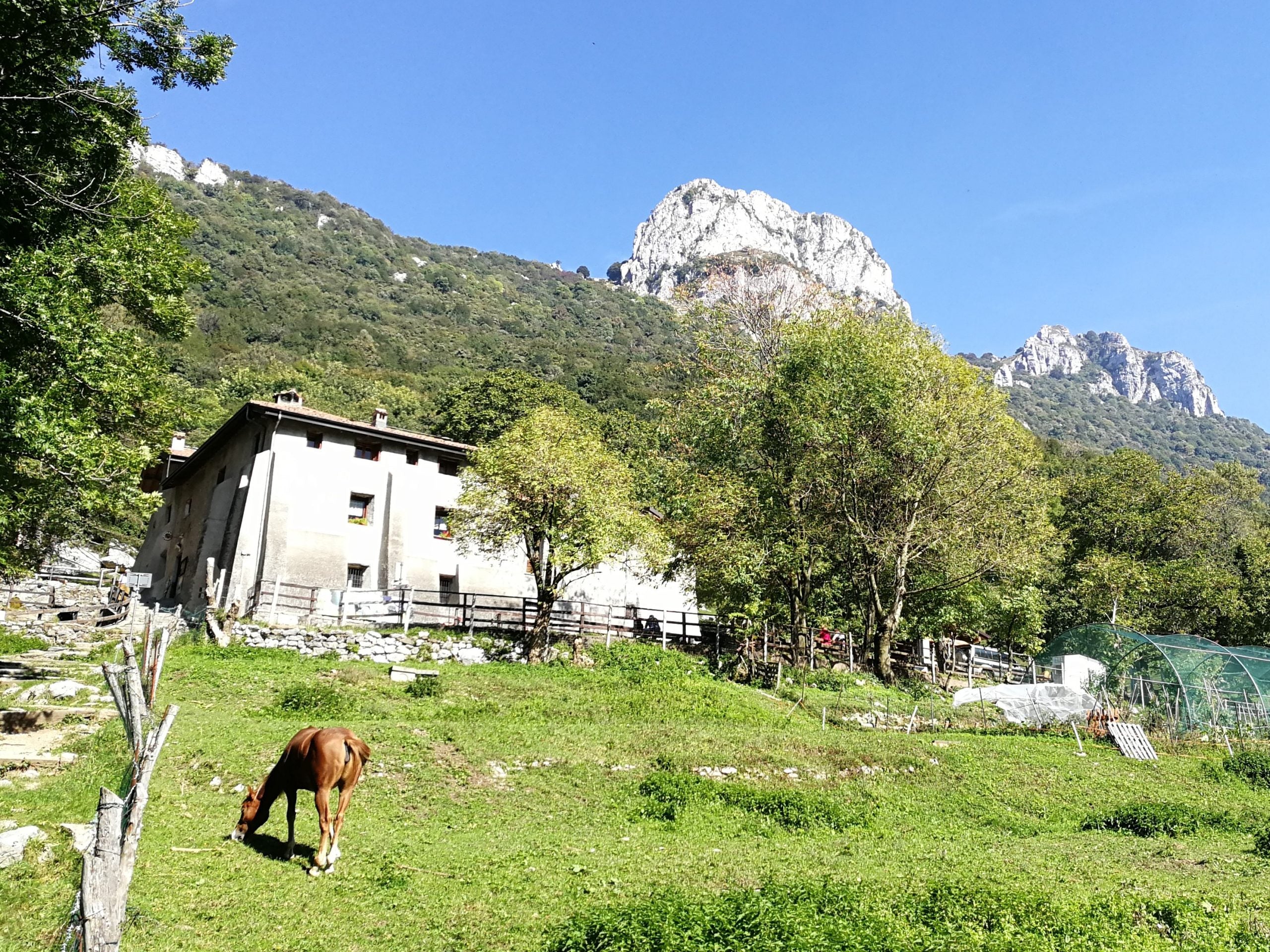From Milan - Hiking Tour Terz’Alpe & Corni di Canzo